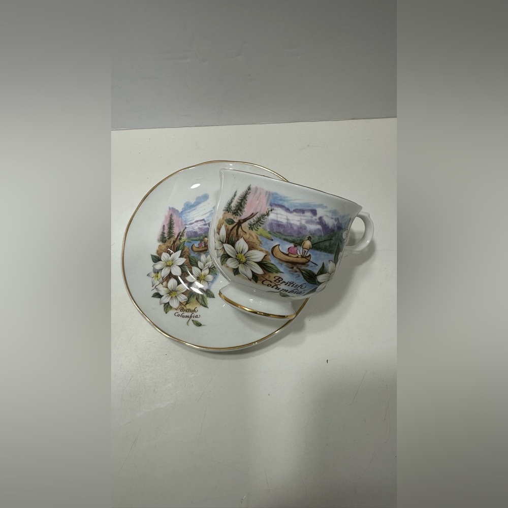 Sadler wellington British Columbia Canoe Fine Bone China Tea Cup Saucer England